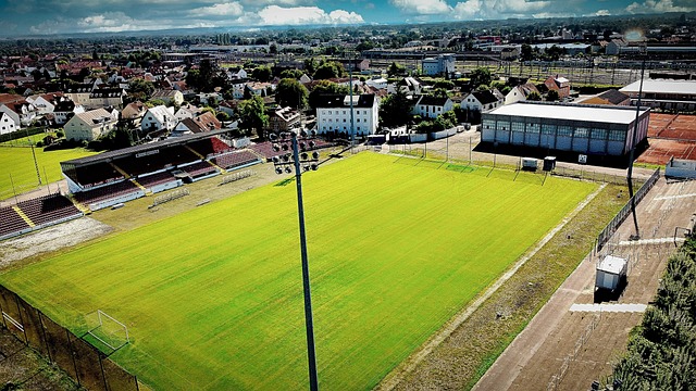 根据统计 根据统计