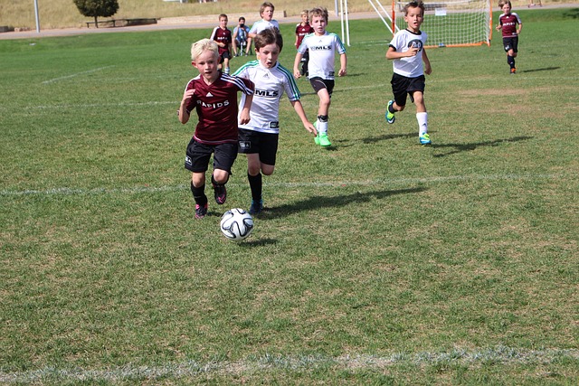 接受德甲的 接受德甲的